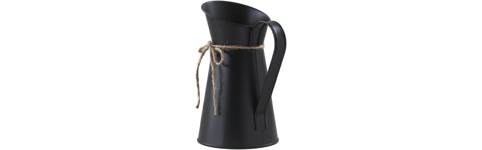 Black Iron Flower Vase