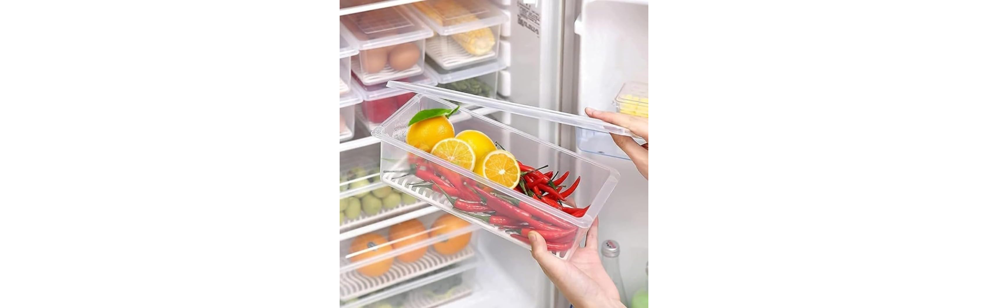 Fridge Storage Box -TEKCOOL