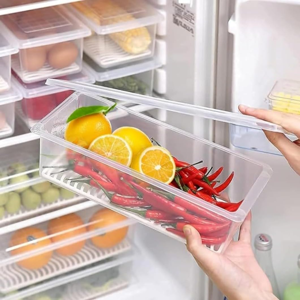 Fridge Storage Box -TEKCOOL