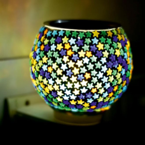 LIFE TIME The Kapoor Dani Electrical Camphor...
