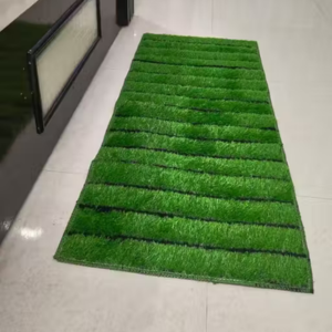 Premium Microfiber Anti-Skid Floor Mat