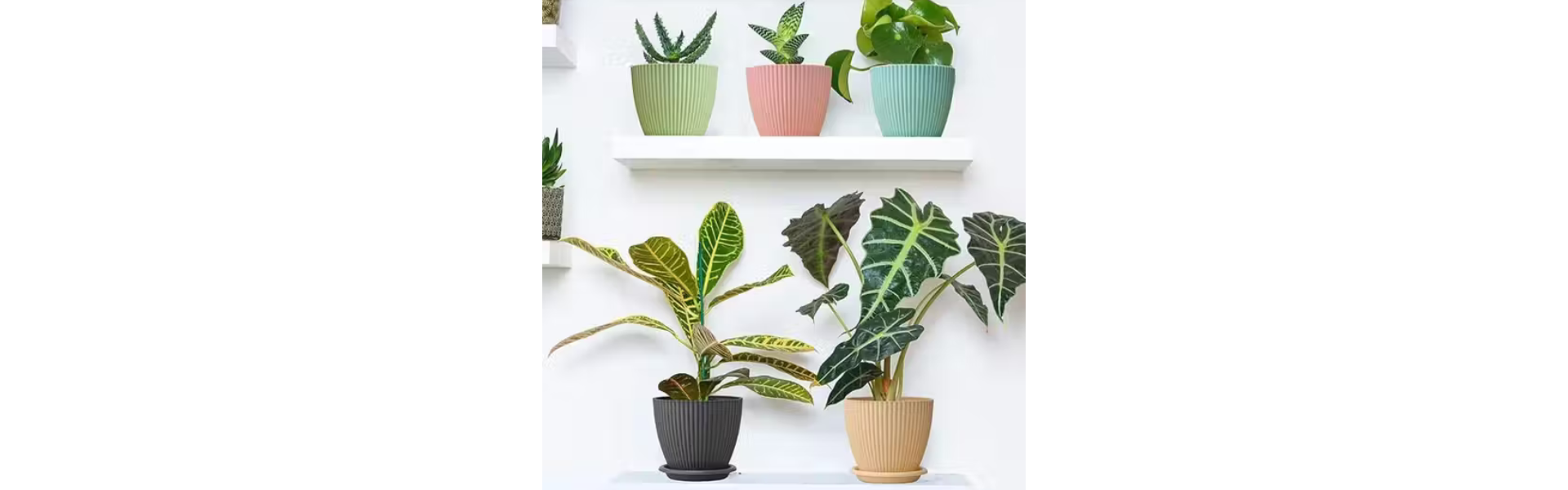 RABBONIX Plastic Round Flower Pots for Home Planters
