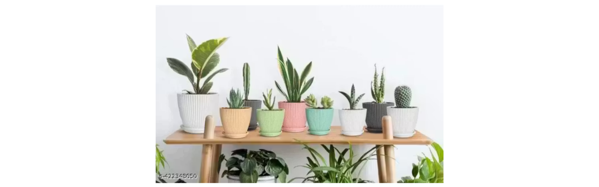 RABBONIX Plastic Round Flower Pots for Home Planters